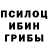Псилоцибиновые грибы Magic Shrooms RUFDAY1